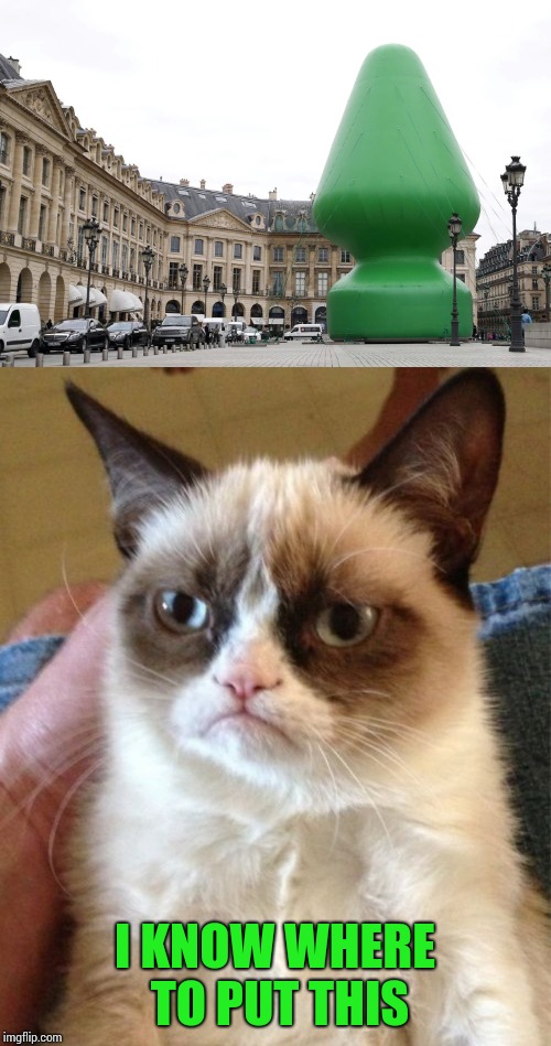 I KNOW WHERE TO PUT THIS | image tagged in memes,grumpy cat | made w/ Imgflip meme maker