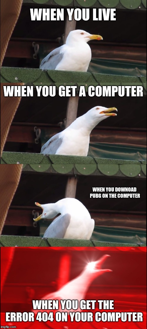 Inhaling Seagull | WHEN YOU LIVE; WHEN YOU GET A COMPUTER; WHEN YOU DOWNOAD PUBG ON THE COMPUTER; WHEN YOU GET THE ERROR 404 ON YOUR COMPUTER | image tagged in memes,inhaling seagull | made w/ Imgflip meme maker