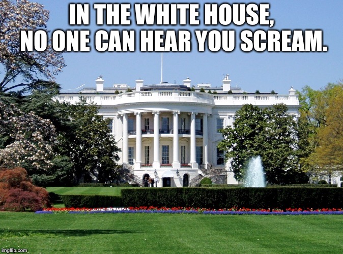 White House | IN THE WHITE HOUSE, NO ONE CAN HEAR YOU SCREAM. | image tagged in white house | made w/ Imgflip meme maker