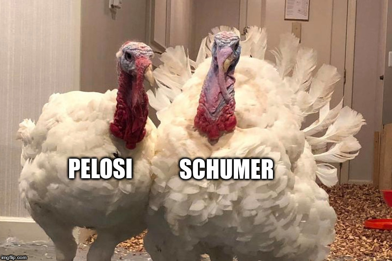 Not Just A Thanksgiving Meme: Good For Two More Years! | image tagged in nancy pelosi,chuck schumer,democrat turkeys,meaning by that,ocasio,and the rest | made w/ Imgflip meme maker