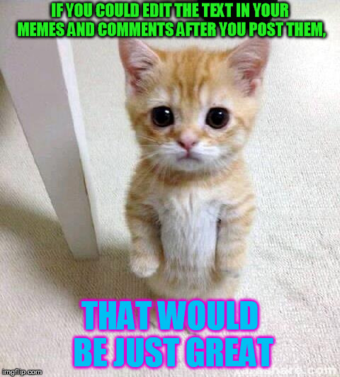 I alwasy see teh  typos after I post.... | IF YOU COULD EDIT THE TEXT IN YOUR MEMES AND COMMENTS AFTER YOU POST THEM, THAT WOULD BE JUST GREAT | image tagged in memes,cute cat | made w/ Imgflip meme maker