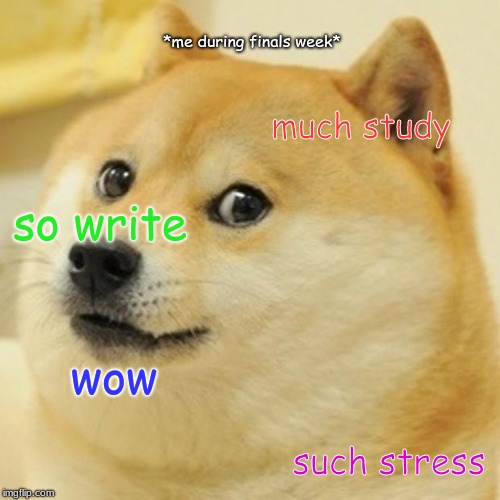 Doge | *me during finals week*; much study; so write; wow; such stress | image tagged in memes,doge | made w/ Imgflip meme maker