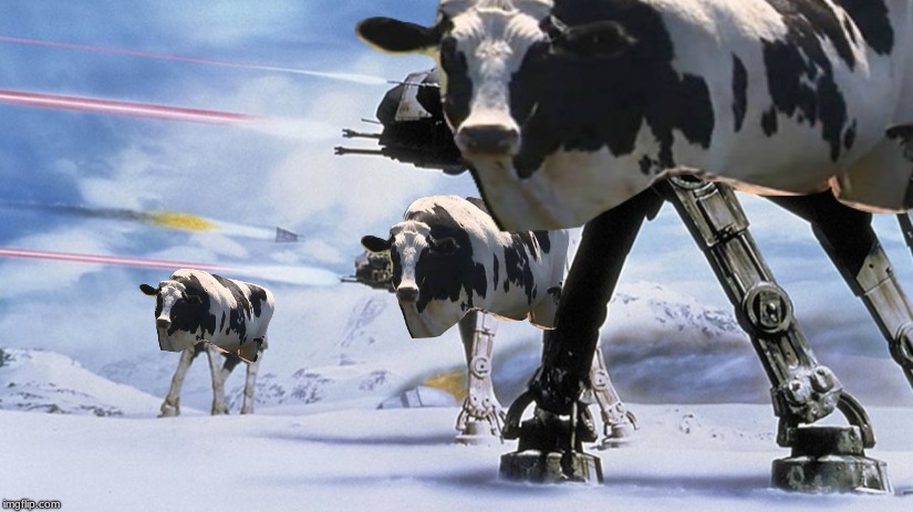 Knickers cow // cow meme // star wars meme // at-at // knickers the cow // | image tagged in cow,at-at,star wars,memes | made w/ Imgflip meme maker