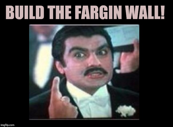 Fargin wall! | BUILD THE FARGIN WALL! | image tagged in roman maroni,the wall | made w/ Imgflip meme maker