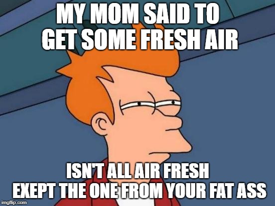 Futurama Fry Meme | MY MOM SAID TO GET SOME FRESH AIR; ISN'T ALL AIR FRESH EXEPT THE ONE FROM YOUR FAT ASS | image tagged in memes,futurama fry | made w/ Imgflip meme maker