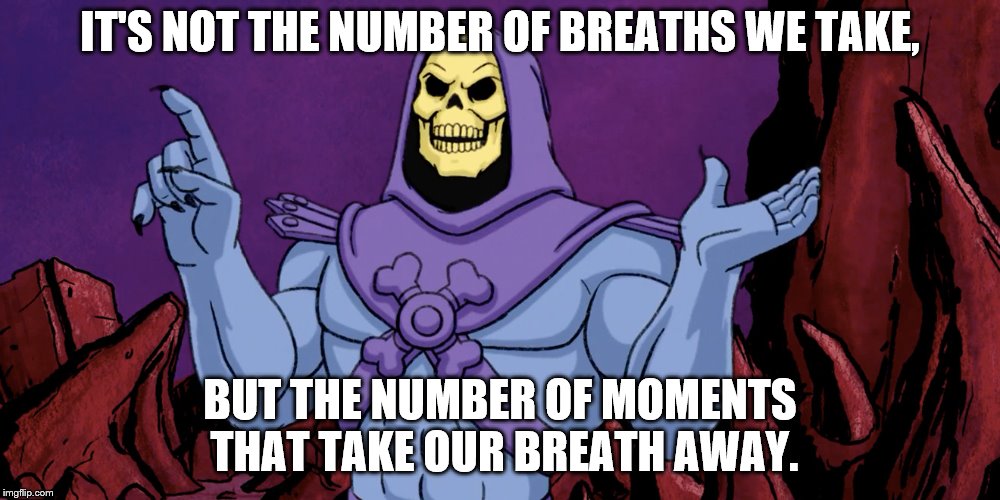 Skeletor Geico 1 | IT'S NOT THE NUMBER OF BREATHS WE TAKE, BUT THE NUMBER OF MOMENTS THAT TAKE OUR BREATH AWAY. | image tagged in skeletor geico 1 | made w/ Imgflip meme maker