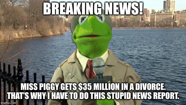 Kermit News Report | BREAKING NEWS! MISS PIGGY GETS $35 MILLION IN A DIVORCE. THAT’S WHY I HAVE TO DO THIS STUPID NEWS REPORT. | image tagged in kermit news report | made w/ Imgflip meme maker