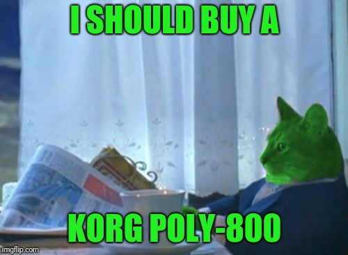 I Should Buy a Boat RayCat | I SHOULD BUY A KORG POLY-800 | image tagged in i should buy a boat raycat | made w/ Imgflip meme maker