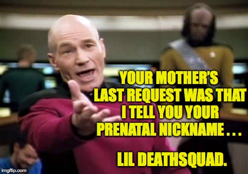 Ooh baby! | YOUR MOTHER’S LAST REQUEST WAS THAT I TELL YOU YOUR PRENATAL NICKNAME . . . LIL DEATHSQUAD. | image tagged in memes,picard wtf,babies | made w/ Imgflip meme maker