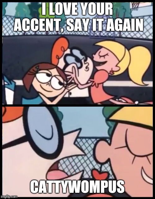 Say it Again, Dexter Meme | I LOVE YOUR ACCENT, SAY IT AGAIN; CATTYWOMPUS | image tagged in say it again dexter | made w/ Imgflip meme maker
