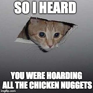 Hoarding the nuggs | SO I HEARD; YOU WERE HOARDING ALL THE CHICKEN NUGGETS | image tagged in memes,ceiling cat | made w/ Imgflip meme maker