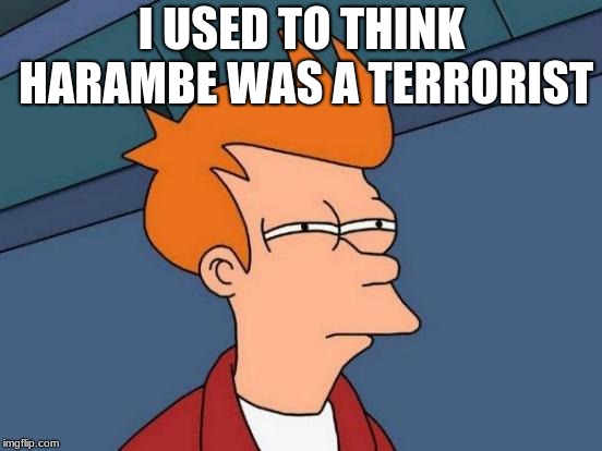 Futurama Fry Meme |  I USED TO THINK HARAMBE WAS A TERRORIST | image tagged in memes,futurama fry | made w/ Imgflip meme maker