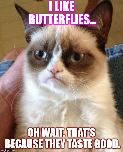 Grumpy Cat Meme | I LIKE BUTTERFLIES... OH WAIT. THAT'S BECAUSE THEY TASTE GOOD. | image tagged in memes,grumpy cat | made w/ Imgflip meme maker