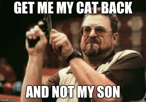 Am I The Only One Around Here Meme | GET ME MY CAT BACK; AND NOT MY SON | image tagged in memes,am i the only one around here | made w/ Imgflip meme maker