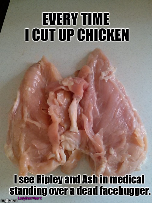 Flashbacks! | EVERY TIME I CUT UP CHICKEN; I see Ripley and Ash in medical standing over a dead facehugger. LadyDeerHeart | image tagged in memes,meme,alien,aliens,ellen ripley,ash | made w/ Imgflip meme maker