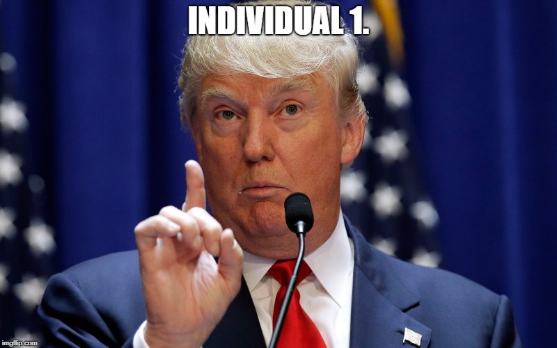 Donald Trump | INDIVIDUAL 1. | image tagged in donald trump | made w/ Imgflip meme maker