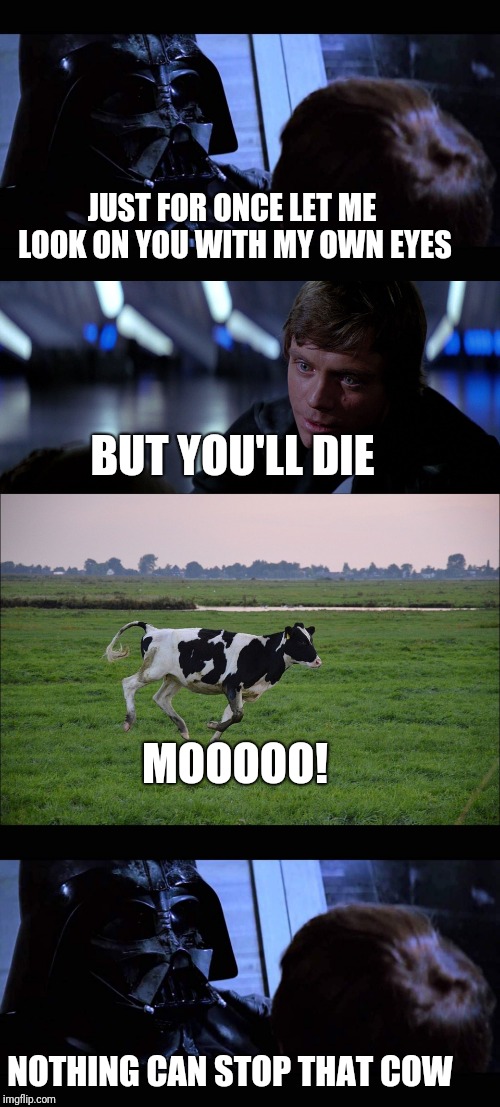 Emotional milking | JUST FOR ONCE LET ME LOOK ON YOU WITH MY OWN EYES; BUT YOU'LL DIE; MOOOOO! NOTHING CAN STOP THAT COW | image tagged in star wars | made w/ Imgflip meme maker