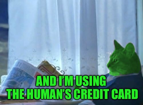 I Should Buy a Boat RayCat | AND I’M USING THE HUMAN’S CREDIT CARD | image tagged in i should buy a boat raycat | made w/ Imgflip meme maker