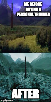 ME BEFORE BUYING A PERSONAL TRIMMER; AFTER | image tagged in lotrmemes | made w/ Imgflip meme maker