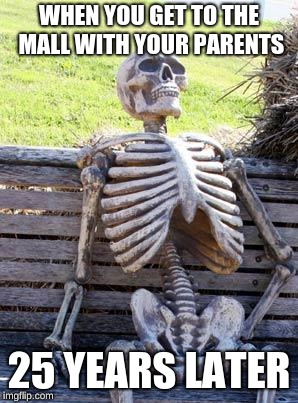 Waiting Skeleton Meme | WHEN YOU GET TO THE MALL WITH YOUR PARENTS; 25 YEARS LATER | image tagged in memes,waiting skeleton | made w/ Imgflip meme maker