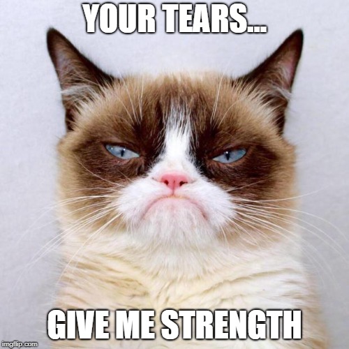 Grumpy Cat Outside | YOUR TEARS... GIVE ME STRENGTH | image tagged in grumpy cat outside | made w/ Imgflip meme maker