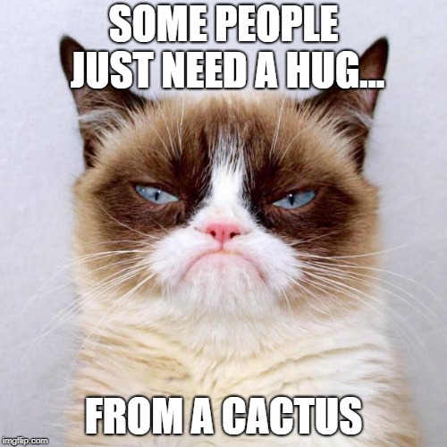 Grumpy Cat Outside | SOME PEOPLE JUST NEED A HUG... FROM A CACTUS | image tagged in grumpy cat outside | made w/ Imgflip meme maker
