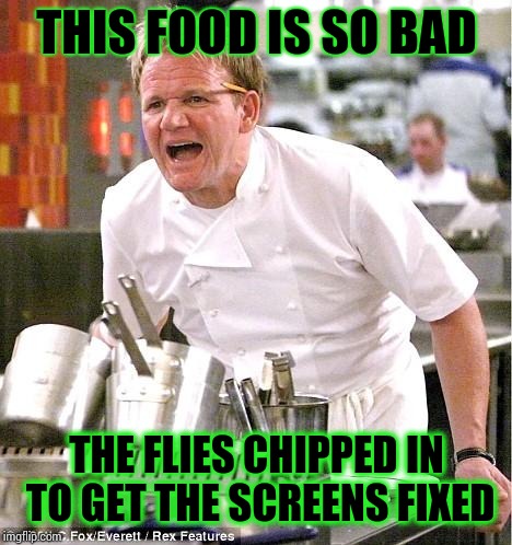 Chef Gordon Ramsay Meme | THIS FOOD IS SO BAD; THE FLIES CHIPPED IN TO GET THE SCREENS FIXED | image tagged in memes,chef gordon ramsay | made w/ Imgflip meme maker