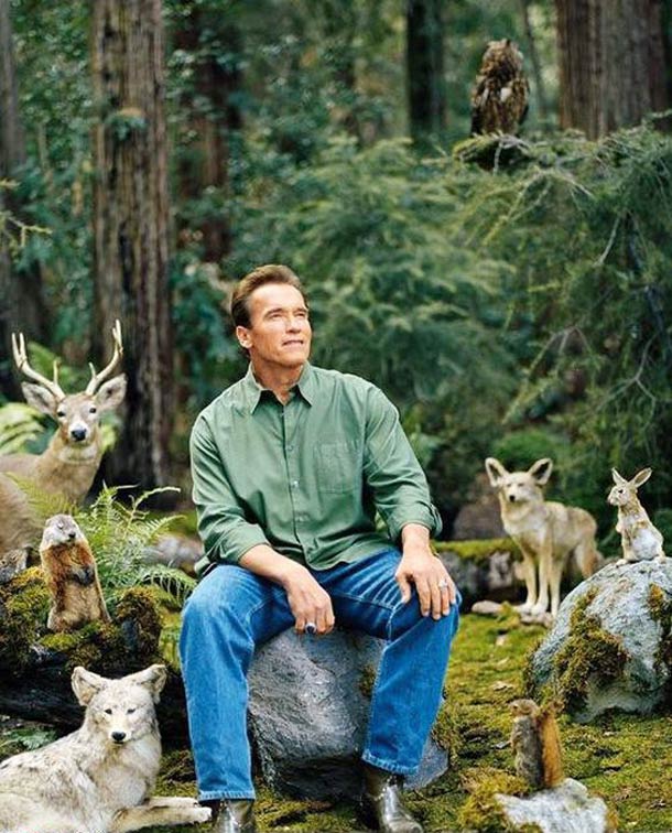 Arnold in Forest Blank Meme Template