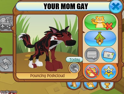 My Animal Jam Friend (I don't play anymore) | YOUR MOM GAY | image tagged in your mom gay,my buddy | made w/ Imgflip meme maker