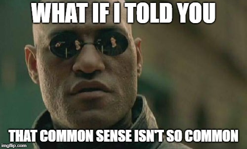 Matrix Morpheus Meme | WHAT IF I TOLD YOU; THAT COMMON SENSE ISN'T SO COMMON | image tagged in memes,matrix morpheus | made w/ Imgflip meme maker