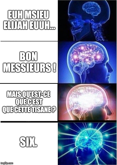 Expanding Brain | EUH MSIEU ELIJAH EUUH... BON MESSIEURS ! MAIS QU'EST-CE QUE C'EST QUE CETTE TISANE ? SIX. | image tagged in memes,expanding brain | made w/ Imgflip meme maker