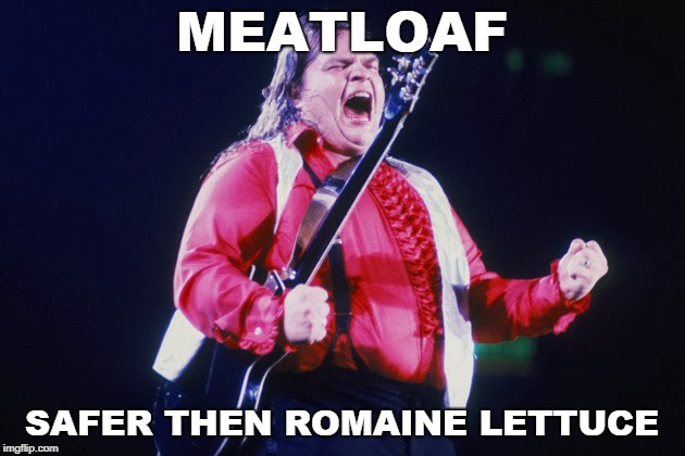 Safer than romaine lettuce | MEATLOAF; SAFER THEN ROMAINE LETTUCE | image tagged in meatloaf | made w/ Imgflip meme maker