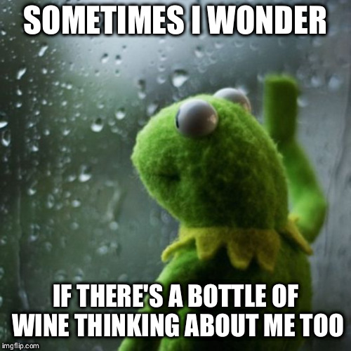 sometimes I wonder  | SOMETIMES I WONDER; IF THERE'S A BOTTLE OF WINE THINKING ABOUT ME TOO | image tagged in sometimes i wonder | made w/ Imgflip meme maker
