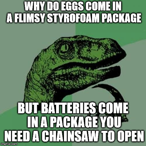 Philosoraptor | WHY DO EGGS COME IN A FLIMSY STYROFOAM PACKAGE; BUT BATTERIES COME IN A PACKAGE YOU NEED A CHAINSAW TO OPEN | image tagged in memes,philosoraptor | made w/ Imgflip meme maker