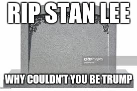 dead memes | RIP STAN LEE; WHY COULDN'T YOU BE TRUMP | image tagged in dead memes | made w/ Imgflip meme maker