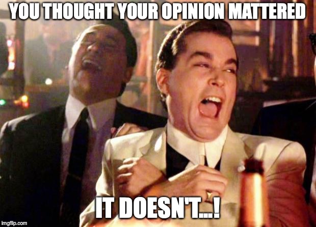 Wise guys laughing | YOU THOUGHT YOUR OPINION MATTERED; IT DOESN'T...! | image tagged in wise guys laughing | made w/ Imgflip meme maker