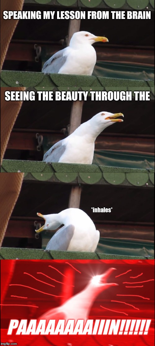 Inhaling Seagull Meme | SPEAKING MY LESSON FROM THE BRAIN; SEEING THE BEAUTY THROUGH THE; *inhales*; PAAAAAAAAIIIN!!!!!! | image tagged in memes,inhaling seagull | made w/ Imgflip meme maker