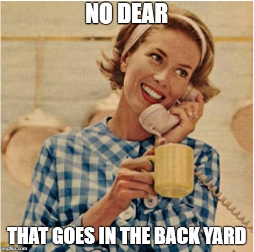 innocent mom | NO DEAR THAT GOES IN THE BACK YARD | image tagged in innocent mom | made w/ Imgflip meme maker