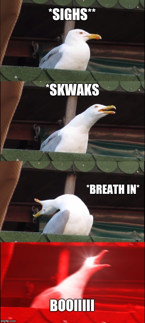 Inhaling Seagull |  *SIGHS**; *SKWAKS; *BREATH IN*; BOOIIIII | image tagged in memes,inhaling seagull | made w/ Imgflip meme maker