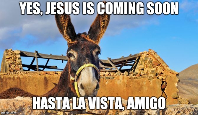 Optimist Donkey | YES, JESUS IS COMING SOON; HASTA LA VISTA, AMIGO | image tagged in jesus,donkey | made w/ Imgflip meme maker