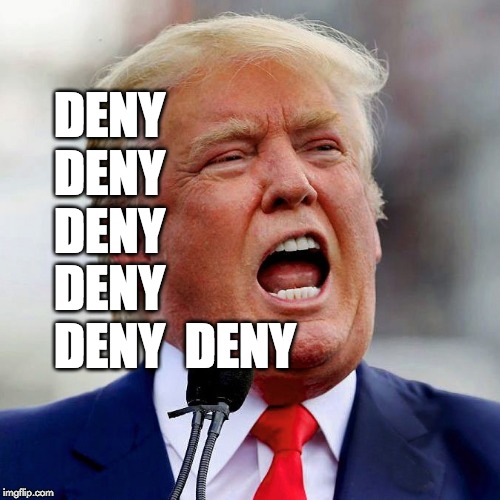 Trump's policy: deny, deny, deny. | DENY  DENY  DENY  DENY  DENY  DENY | image tagged in trump,deny,maga | made w/ Imgflip meme maker