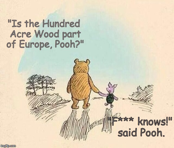 Pooh and Piglet | "Is the Hundred Acre Wood part of Europe, Pooh?"; "F*** knows!" said Pooh. | image tagged in pooh and piglet | made w/ Imgflip meme maker