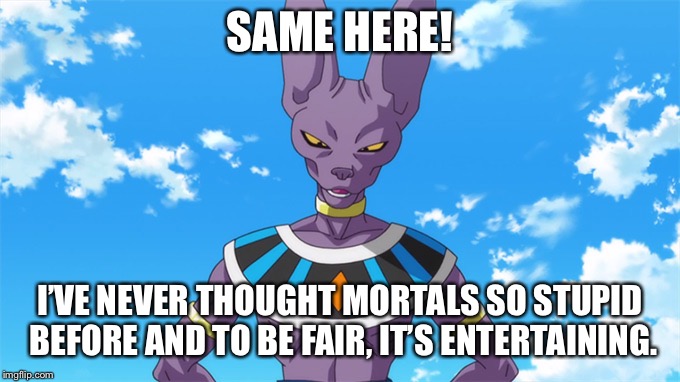 Beerus meme maker | SAME HERE! I’VE NEVER THOUGHT MORTALS SO STUPID BEFORE AND TO BE FAIR, IT’S ENTERTAINING. | image tagged in beerus meme maker | made w/ Imgflip meme maker
