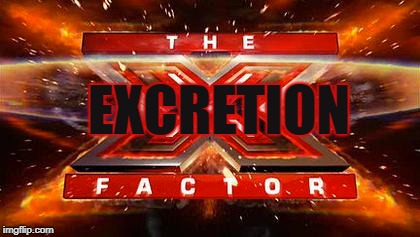 the Excretion Factor | EXCRETION | image tagged in x factor,excretion factor,shit,tv,television,tv show sucks | made w/ Imgflip meme maker