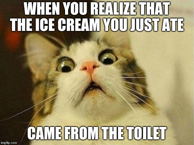 Scared Cat Meme | WHEN YOU REALIZE THAT THE ICE CREAM YOU JUST ATE; CAME FROM THE TOILET | image tagged in memes,scared cat | made w/ Imgflip meme maker