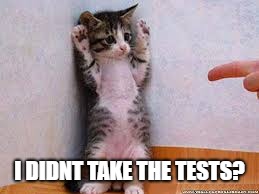 I DIDNT TAKE THE TESTS? | image tagged in i didn't take it | made w/ Imgflip meme maker