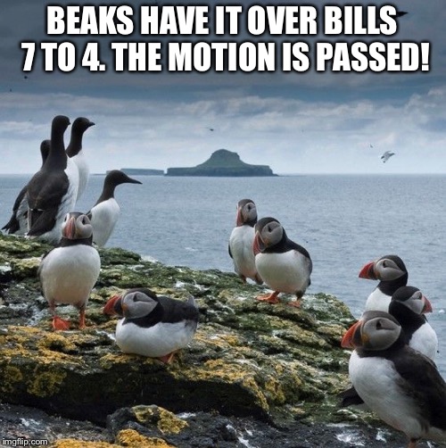 BEAKS HAVE IT OVER BILLS 7 TO 4. THE MOTION IS PASSED! | made w/ Imgflip meme maker