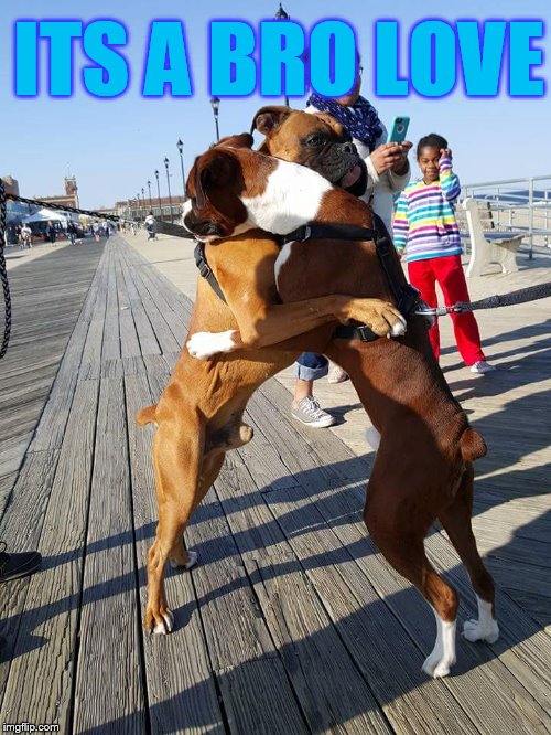 ITS A BRO LOVE | made w/ Imgflip meme maker