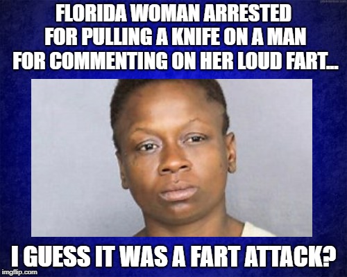 Huh, A Fart Attack You Say? | FLORIDA WOMAN ARRESTED FOR PULLING A KNIFE ON A MAN FOR COMMENTING ON HER LOUD FART... I GUESS IT WAS A FART ATTACK? | image tagged in serious,real crime,true story,attacking over loud fart | made w/ Imgflip meme maker