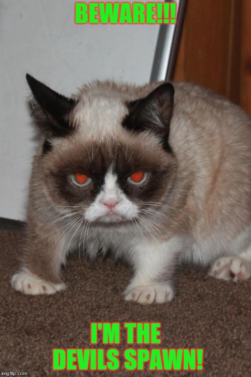 Grumpy Cat red eyes | BEWARE!!! I'M THE DEVILS SPAWN! | image tagged in grumpy cat red eyes | made w/ Imgflip meme maker